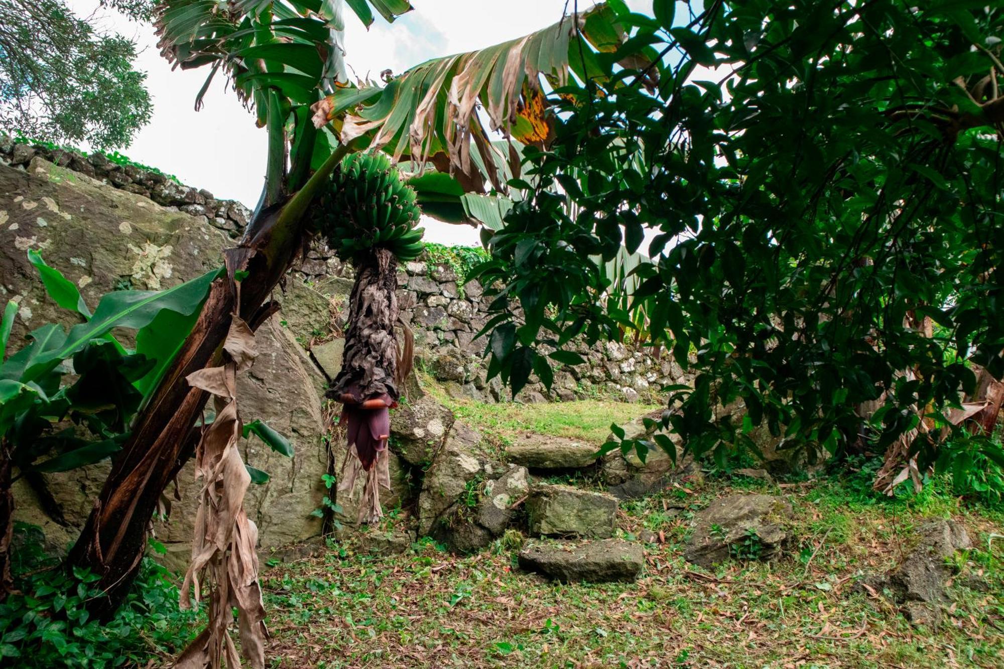 Séjour à la ferme Franco Da Serra Angra do Heroísmo